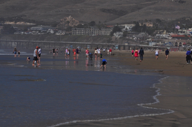 Pismo Beach shoreline